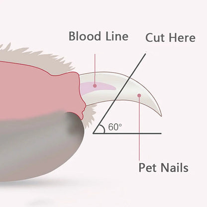 Amazing Led Nail Clippers For Pet Grooming