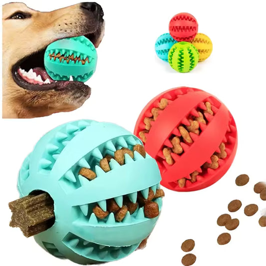 Chew 'n' Treat Dog Ball