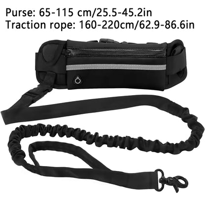 Jog With Your Dog - Fabulously Comfortable Hand Free Dog Leash