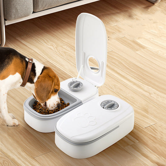 Amazing Smart Automatic Pet Feeder